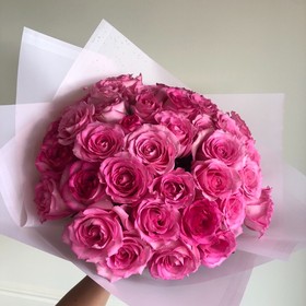 Perfect pink roses