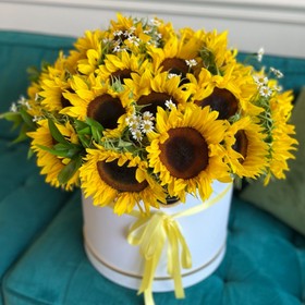 Sunflower BOX