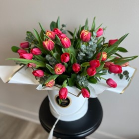 Tulips in the box